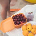 Can Dogs Eat Peaches? A Guide to Serving This Fruit Safely