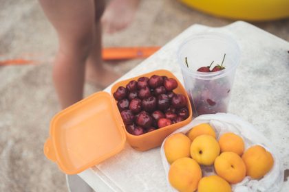 Can Dogs Eat Peaches? A Guide to Serving This Fruit Safely 2 Can Dogs Eat Peaches? A Guide to Serving This Fruit Safely