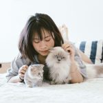 How Long Do Cats Live? Understanding Cat Lifespan and the Factors That Affect It 2 How Long Do Cats Live? Understanding Cat Lifespan and the Factors That Affect It
