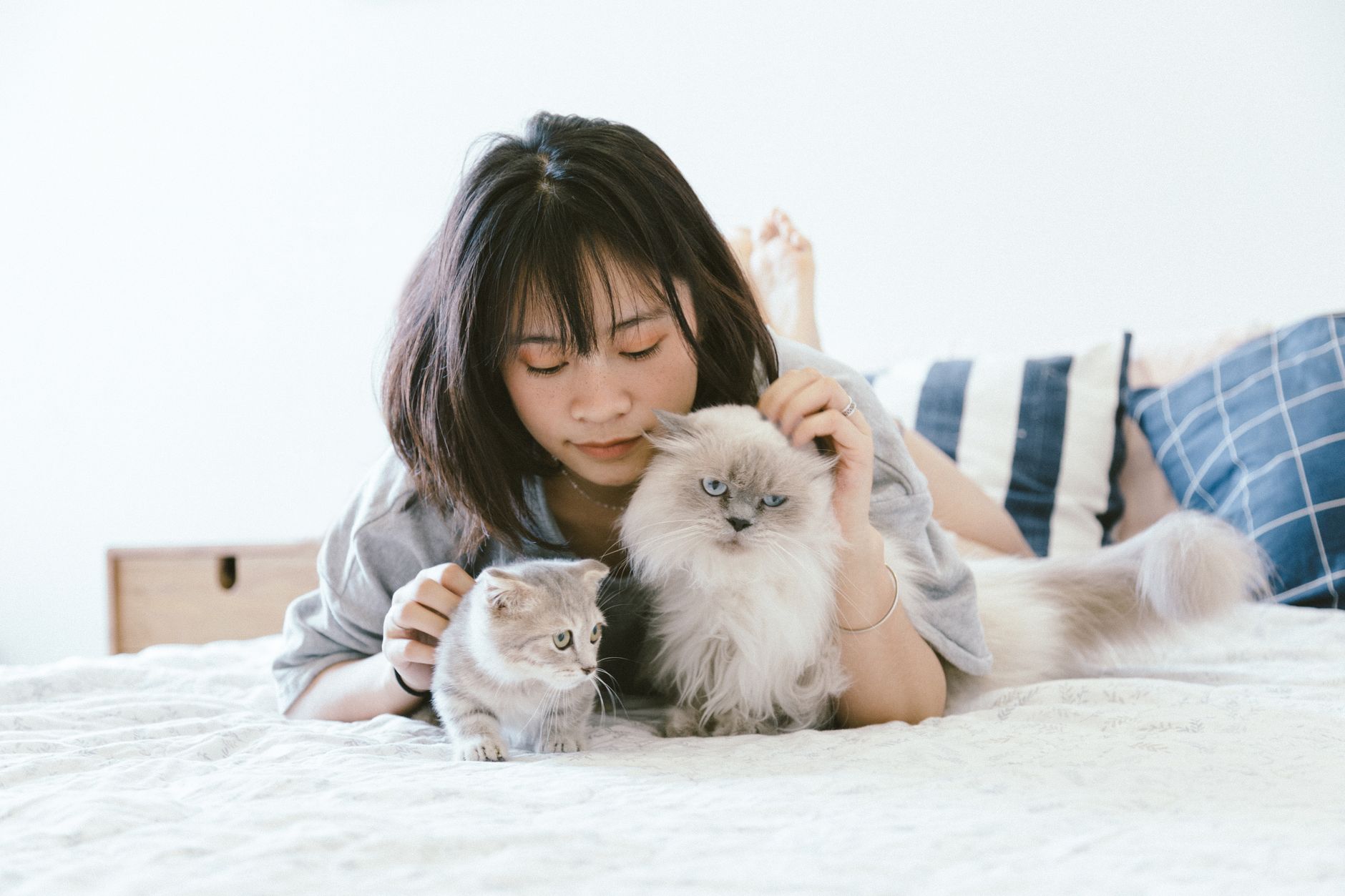 How Long Do Cats Live? Understanding Cat Lifespan and the Factors That Affect It 1 How Long Do Cats Live? Understanding Cat Lifespan and the Factors That Affect It