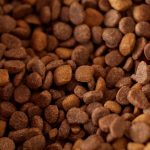 Dog Food Ingredients to Avoid: Understanding What Can Harm Your Dog’s Health
