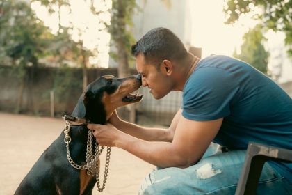 Why Dogs Form Such Strong Bonds With Humans: The Science Behind Canine Loyalty
