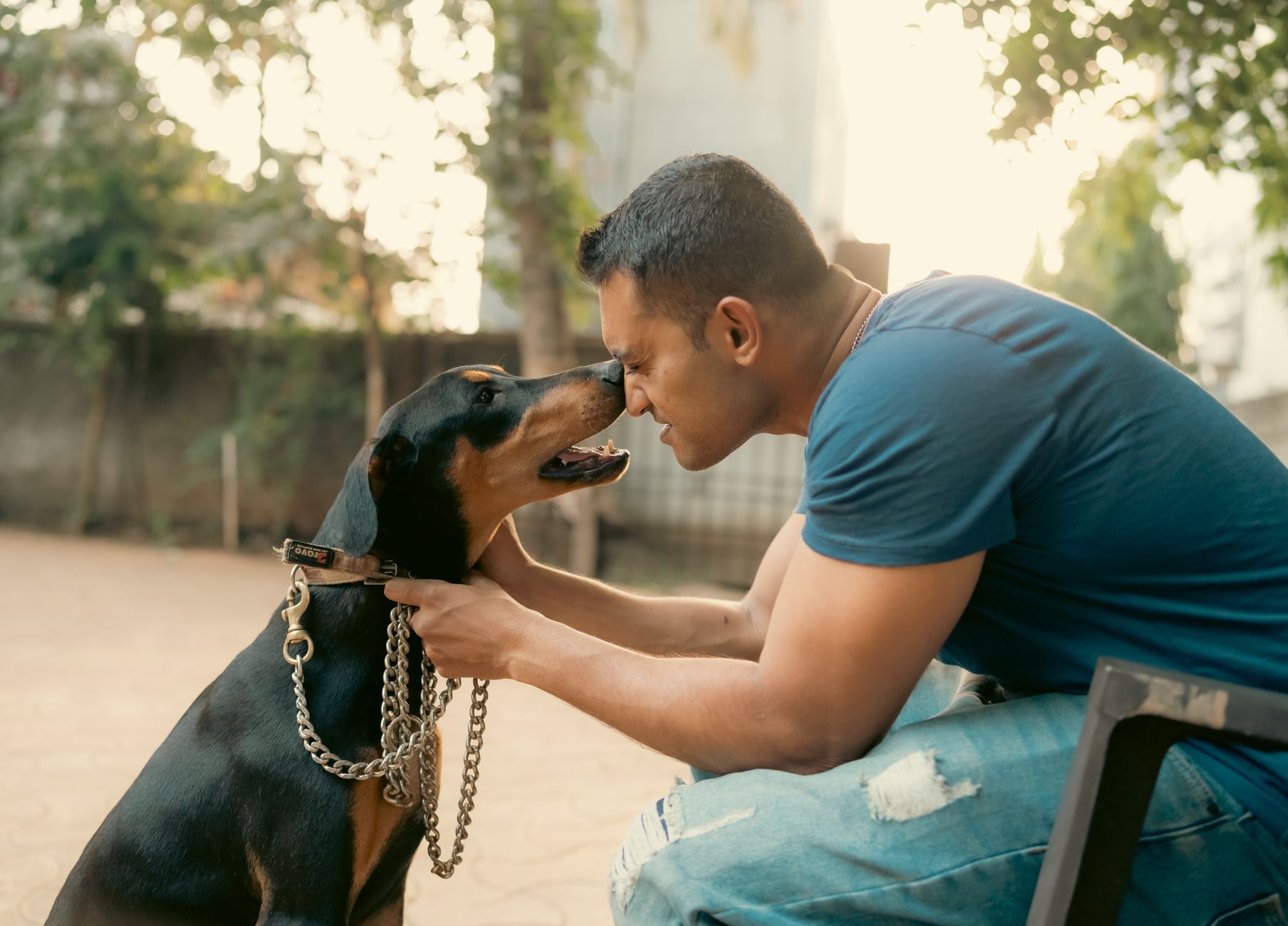Why Dogs Form Such Strong Bonds With Humans: The Science Behind Canine Loyalty