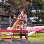 A Practical Guide to Training Your Dog to Bark Less