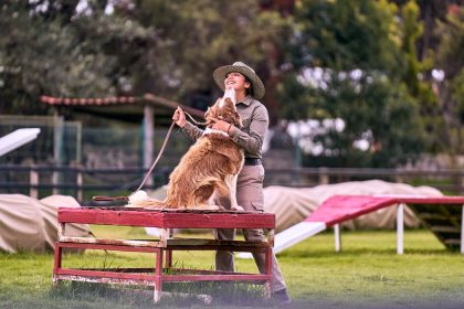 A Practical Guide to Training Your Dog to Bark Less 9 A Practical Guide to Training Your Dog to Bark Less