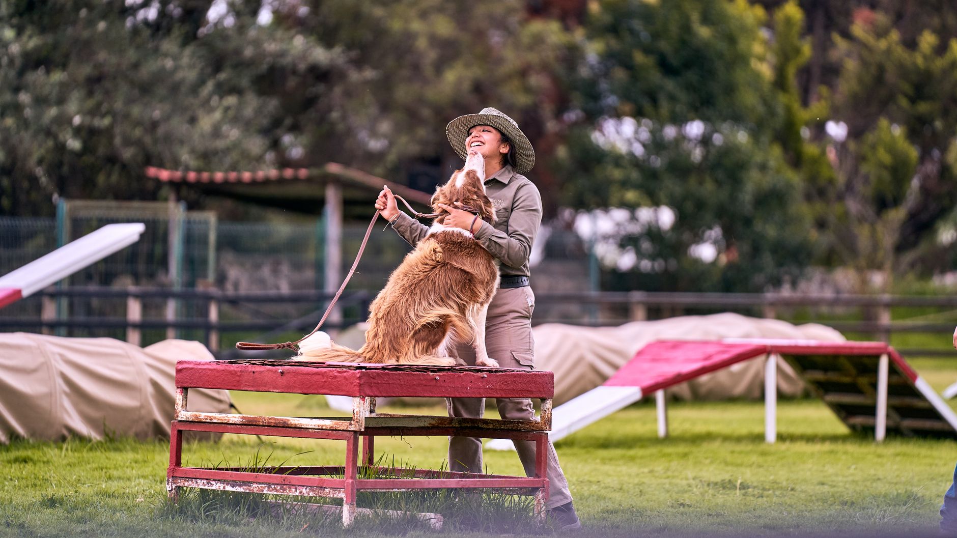 A Practical Guide to Training Your Dog to Bark Less 1 A Practical Guide to Training Your Dog to Bark Less