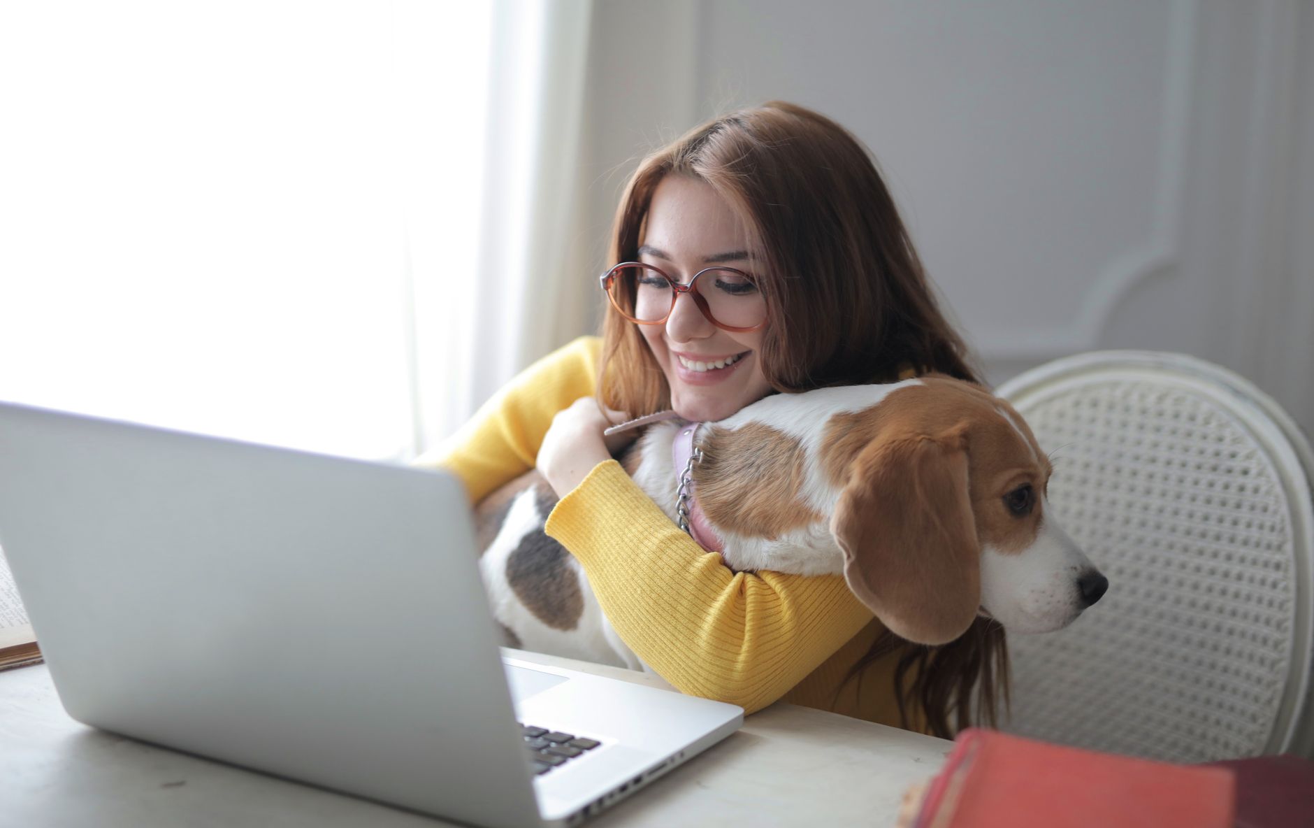 What Type of Dog Matches Your Lifestyle and Personality?