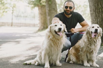 How to Identify Your Dog’s Breed: A Practical Guide to Understanding Your Pet’s Background 9 How to Identify Your Dog’s Breed: A Practical Guide to Understanding Your Pet’s Background