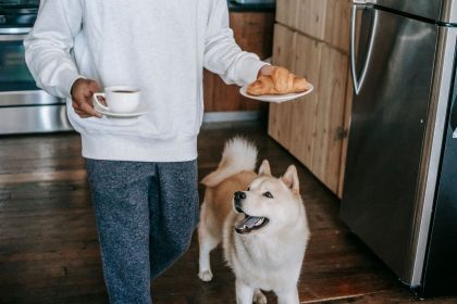 Human Foods That Can Harm Dogs: What Pet Owners Should Keep Away