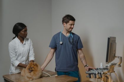 Why Your Dog Suddenly Stops Eating and What You Should Check First 9 Why Your Dog Suddenly Stops Eating and What You Should Check First