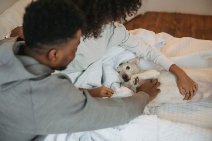 Where to Get a Dog: Understanding Your Options Before Bringing One Home
