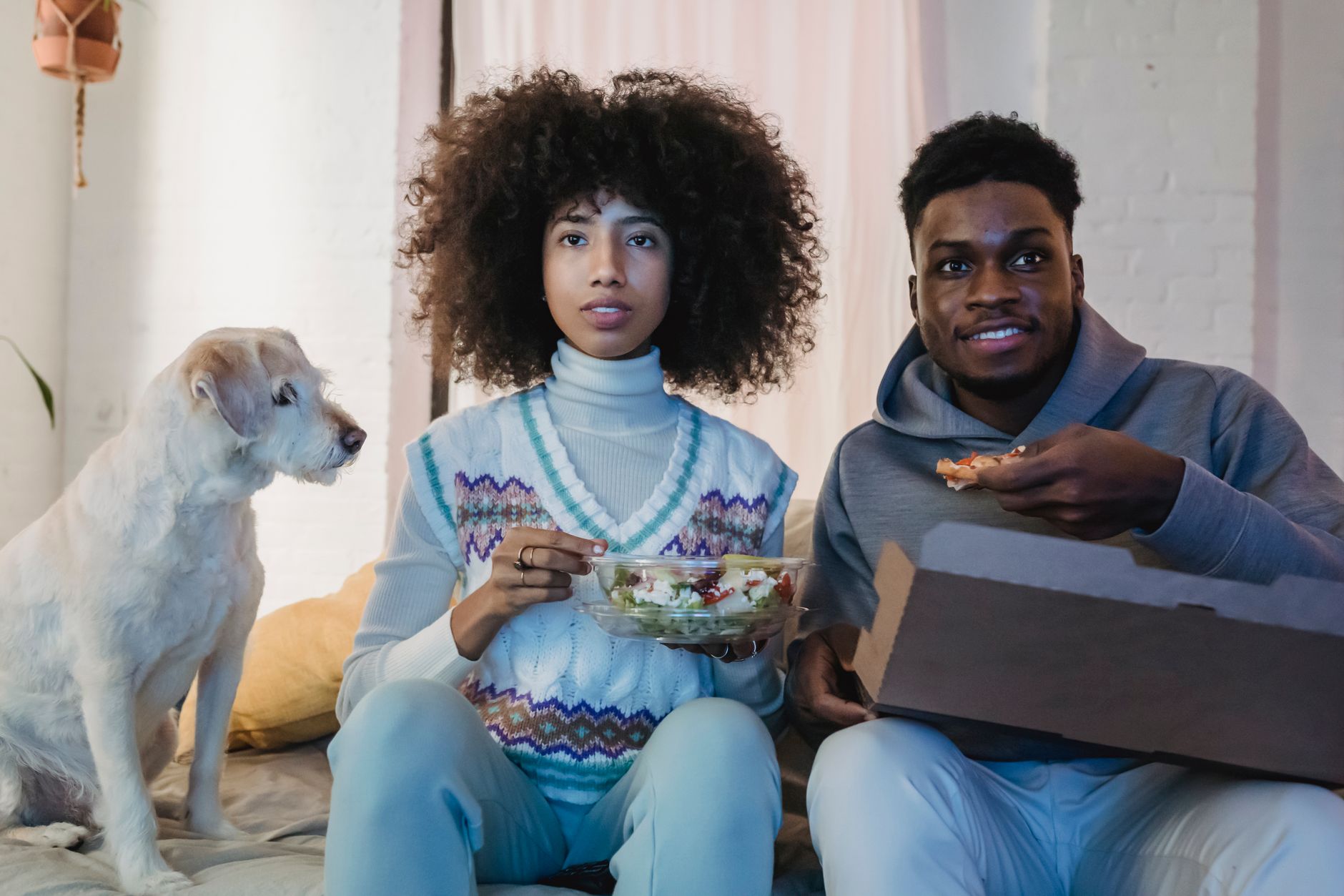 Human Foods Dogs Can Eat Safely: A Guide to Sharing Food With Your Pet