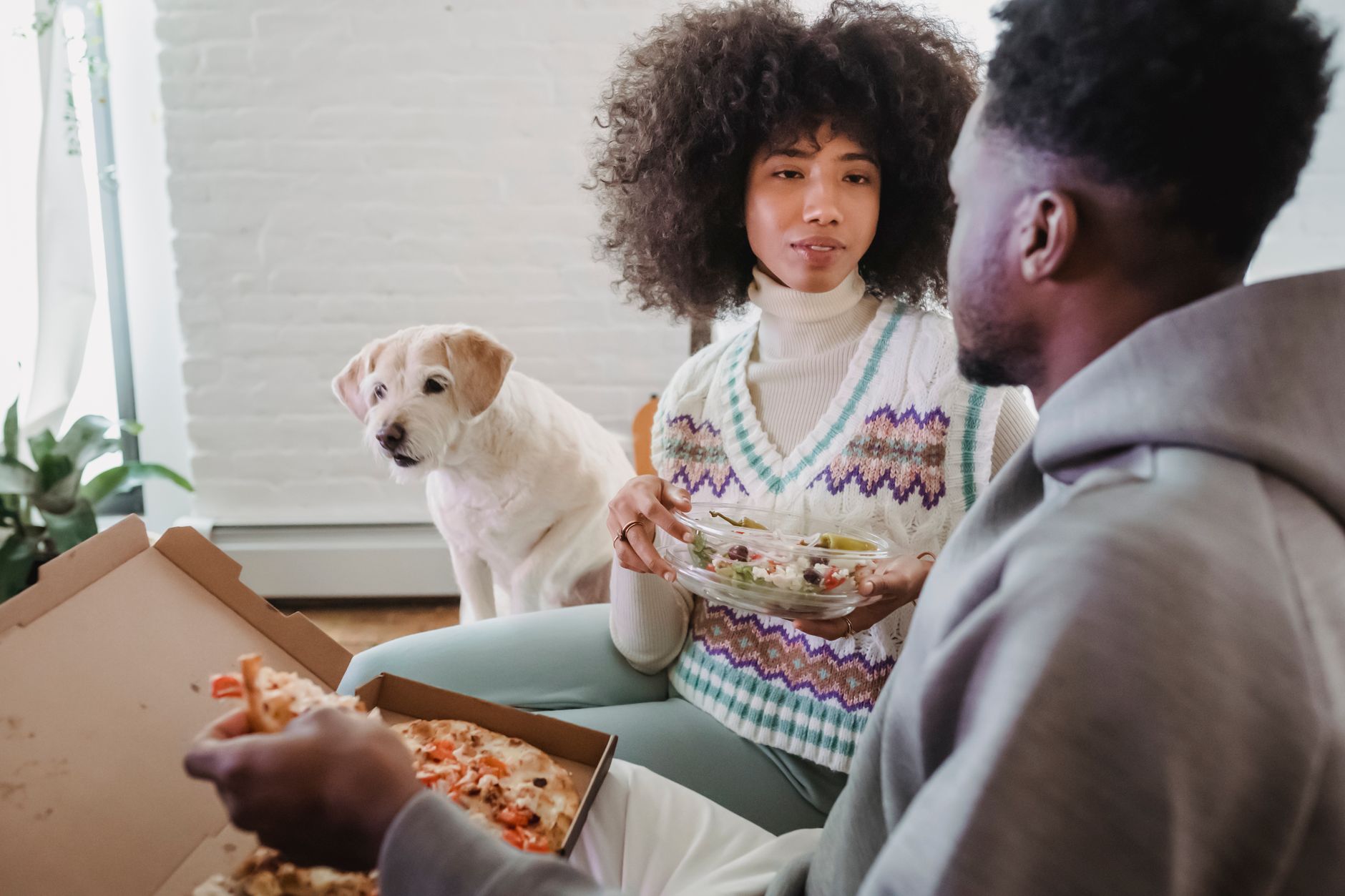 What Foods Can Dogs Eat? A Guide to Safe and Healthy Choices 1 What Foods Can Dogs Eat? A Guide to Safe and Healthy Choices