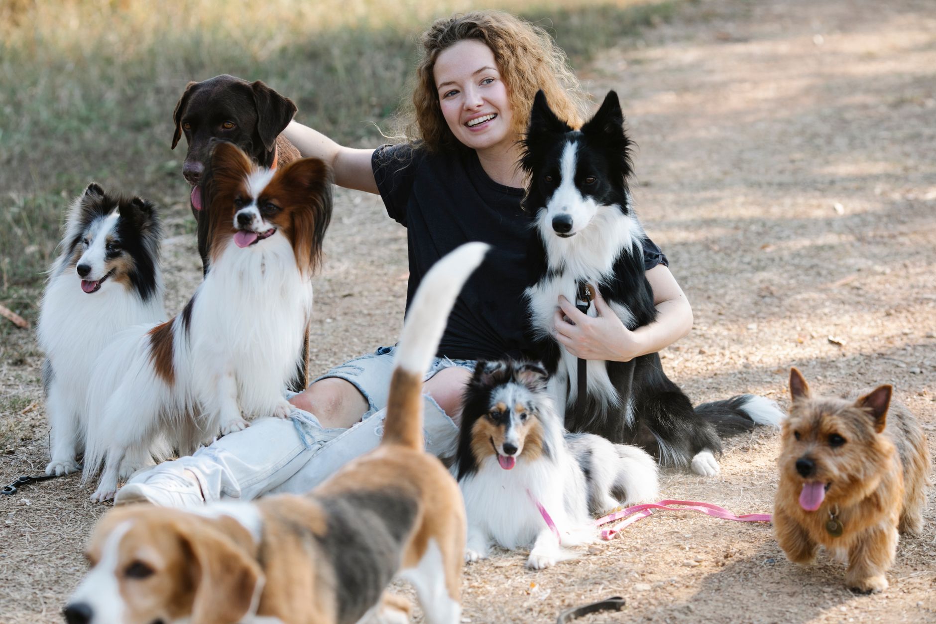 Finding Your Ideal Dog Companion: A Guide Based on Your Lifestyle 1 pexels photo 7210460 1