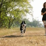 Choosing the Right Dog for Your Lifestyle: Which Companion Fits You Best?