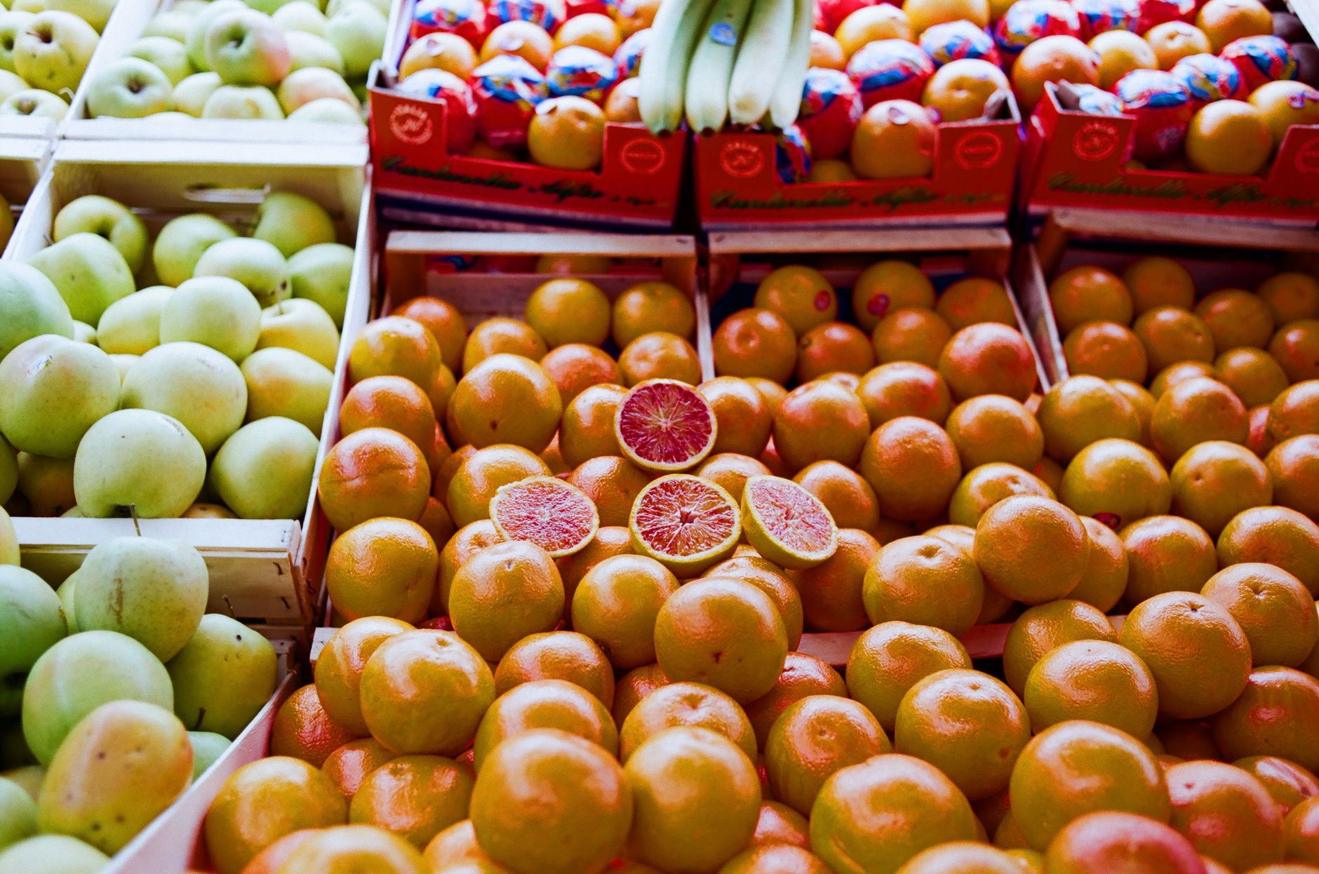 Can Dogs Eat Grapefruit? Why This Citrus Fruit May Not Be the Best Choice 1 Can Dogs Eat Grapefruit? Why This Citrus Fruit May Not Be the Best Choice