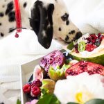 Fruits Dogs Should Avoid: A Guide to Unsafe Choices for Your Pet