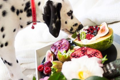 Fruits Dogs Should Avoid: A Guide to Unsafe Choices for Your Pet