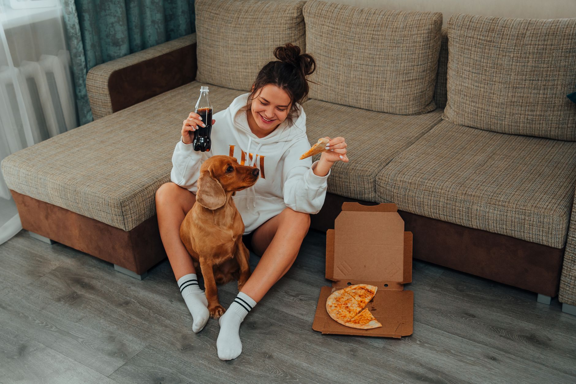 Foods Dogs Should Avoid: A Guide to Dangerous and Unsafe Human Foods 1 Foods Dogs Should Avoid: A Guide to Dangerous and Unsafe Human Foods