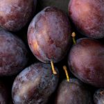 Can Dogs Eat Plums? Understanding the Risks Before Sharing This Fruit 2 Can Dogs Eat Plums? Understanding the Risks Before Sharing This Fruit
