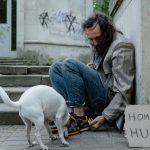 How Long Can a Dog Survive Without Eating? Understanding the Risks and Warning Signs