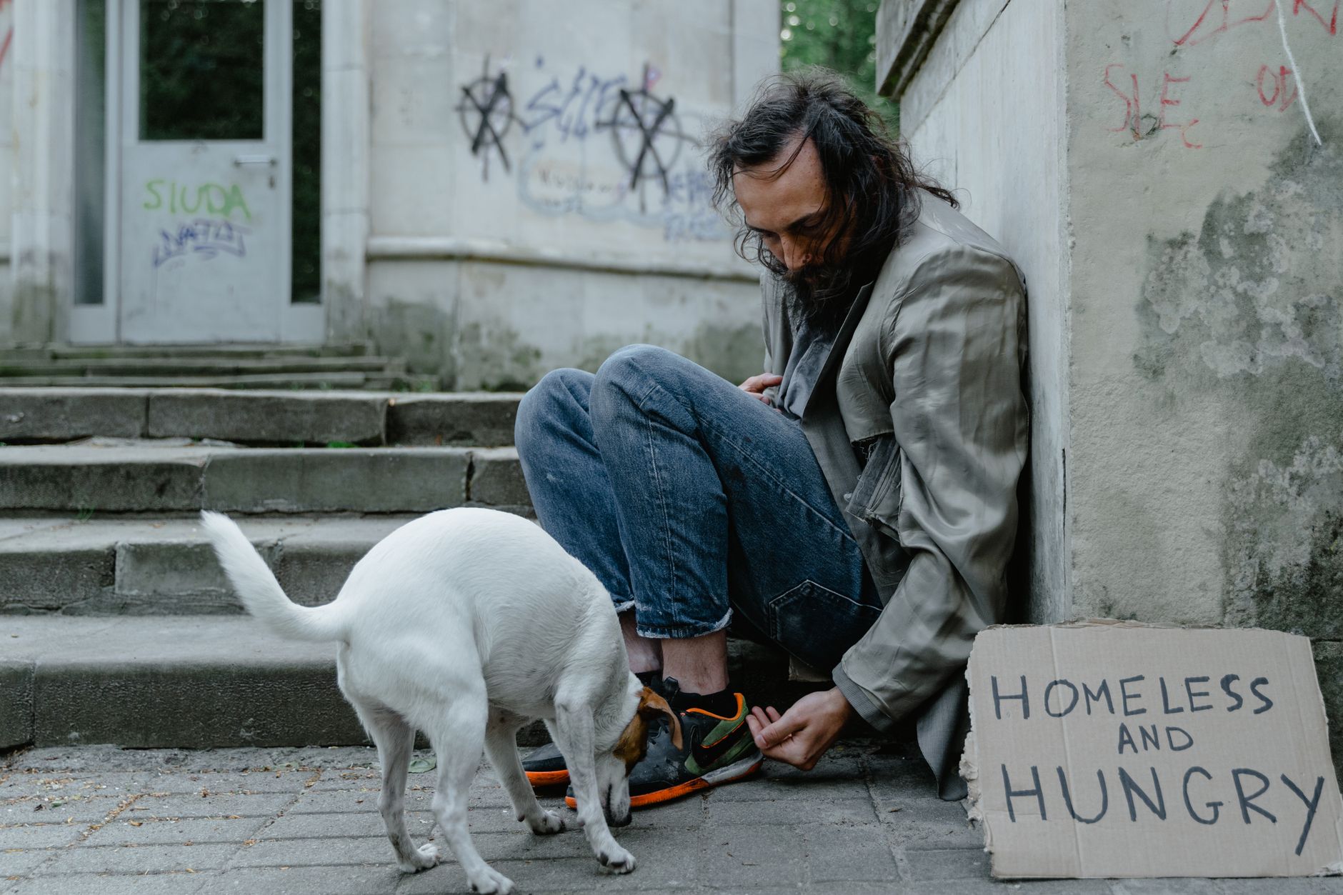 How Long Can a Dog Survive Without Eating? Understanding the Risks and Warning Signs 1 How Long Can a Dog Survive Without Eating? Understanding the Risks and Warning Signs
