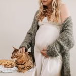 How Long Are Cats Pregnant? A Complete Guide to Feline Pregnancy Stages and Care