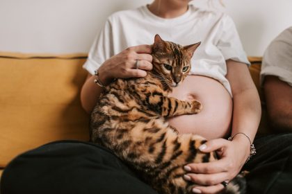How Domestic Cats Reproduce: Understanding Mating Behaviour, Pregnancy and Responsible Breeding