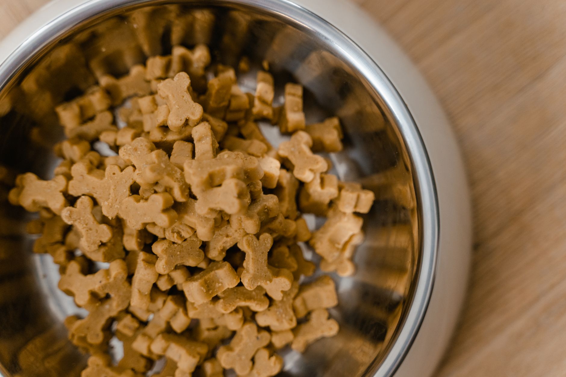 Safe Human Foods for Dogs: Healthy Options and What Owners Should Know