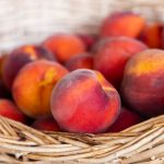 Can Dogs Eat Peaches? What Owners Should Know Before Sharing This Fruit