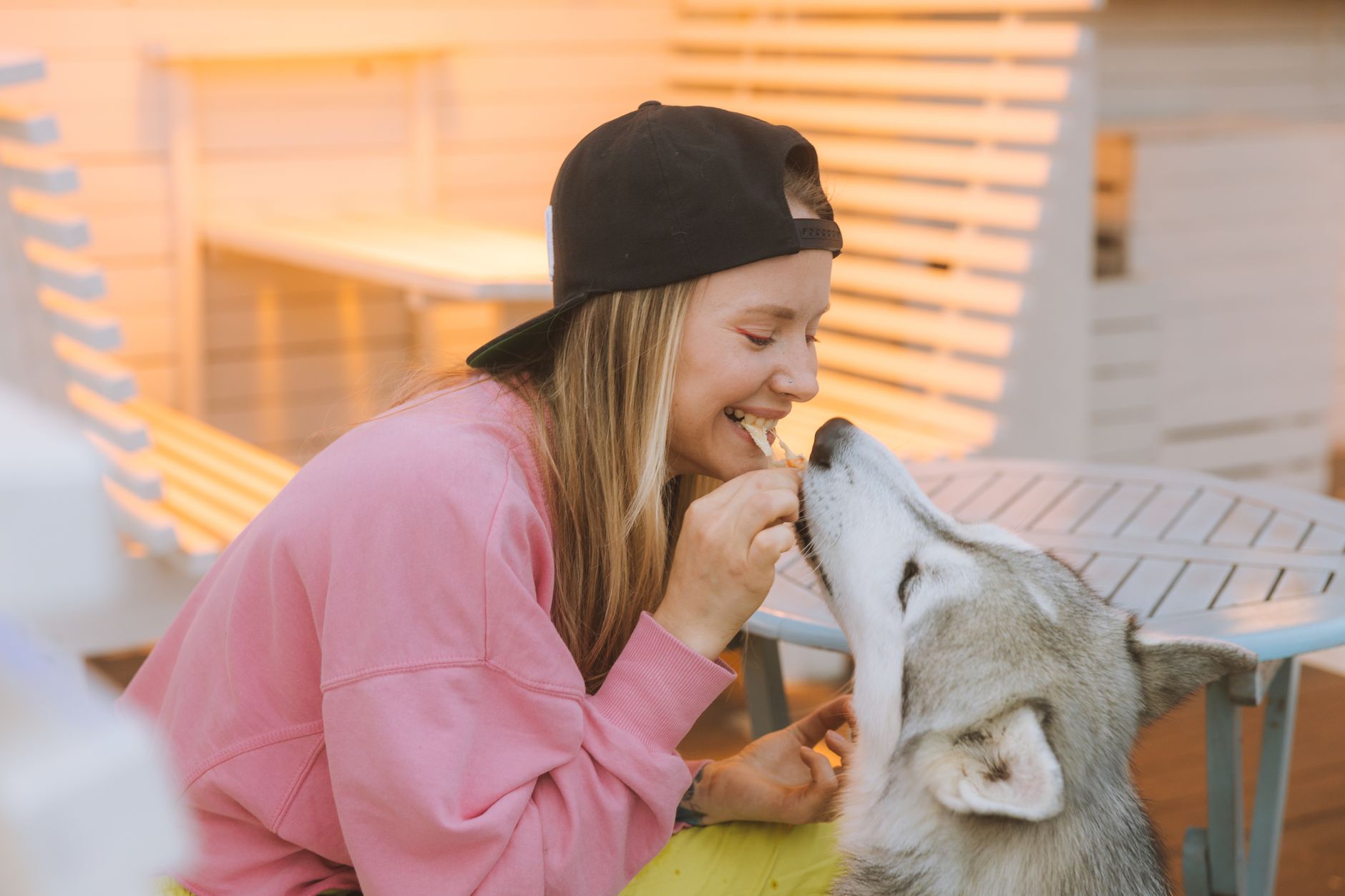 A Guide to Safe Human Foods for Dogs: What They Can Eat and What to Avoid