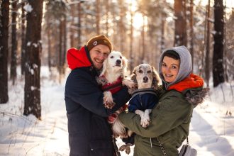 Can Dogs Catch Colds Like People? Understanding Respiratory Illness in Dogs 4 Can Dogs Catch Colds Like People? Understanding Respiratory Illness in Dogs