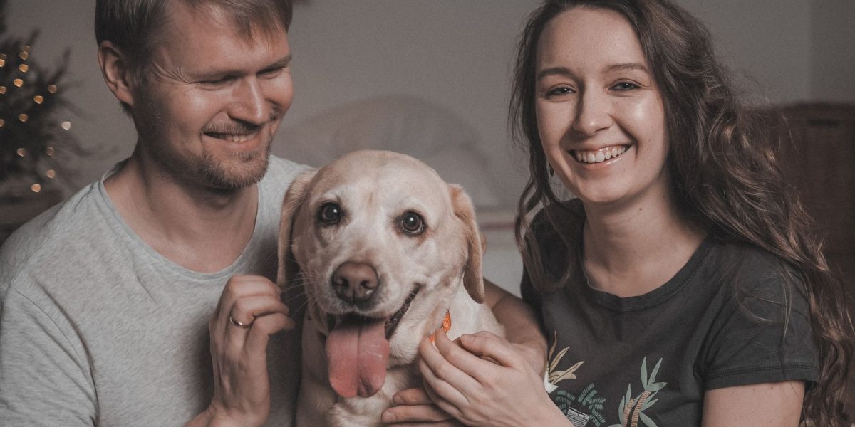 The Complete Guide to Caring for a Dog: Creating a Healthy, Happy Life Together