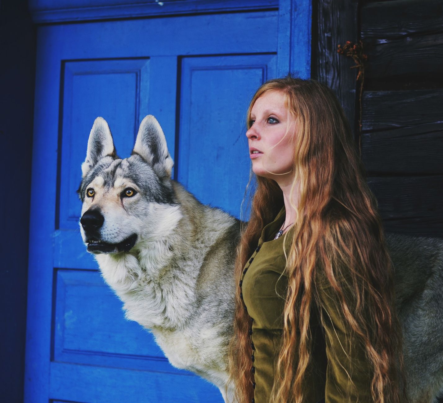 The Long History of Dogs and Humans: When Domestication Began and How Wolves Became Companions 1 The Long History of Dogs and Humans: When Domestication Began and How Wolves Became Companions