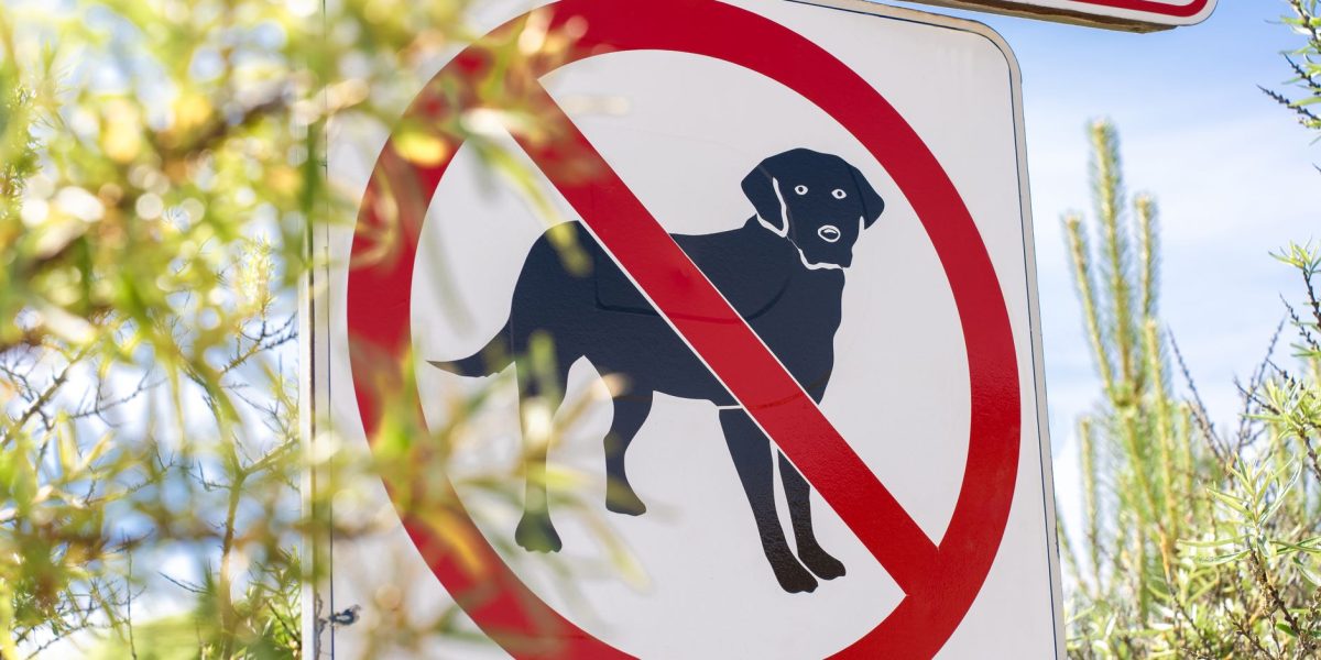 How to Recognize Dog Poisoning: Warning Signs, Causes, and What Owners Should Do