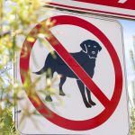 How to Recognize Dog Poisoning: Warning Signs, Causes, and What Owners Should Do 3 How to Recognize Dog Poisoning: Warning Signs, Causes, and What Owners Should Do