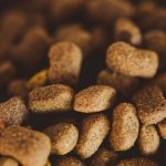 What Can Dogs Safely Eat? A Practical Guide to Healthy Human Foods and Dietary Risks 2 What Can Dogs Safely Eat? A Practical Guide to Healthy Human Foods and Dietary Risks
