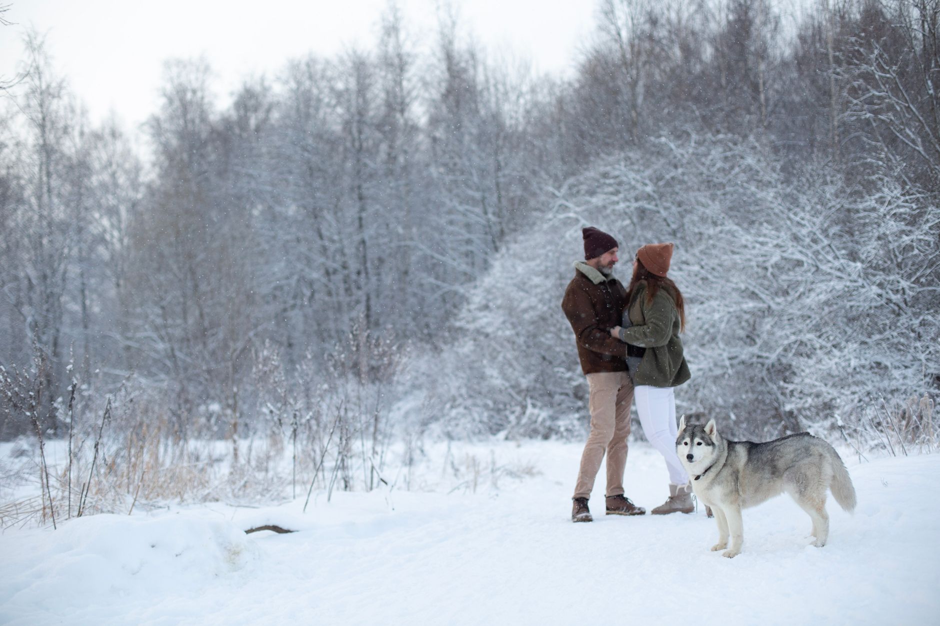 How to Tell If Your Dog Is Cold and What You Should Do About It