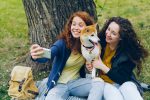How to Register a Dog Microchip and Make Sure Your Pet Can Be Identified