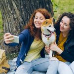 How to Register a Dog Microchip and Make Sure Your Pet Can Be Identified