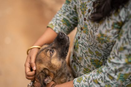 Why Dogs Remain One of the Most Trusted Animal Companions