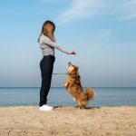 How to Keep Your Dog Mentally Engaged and Happily Active Every Day 2 How to Keep Your Dog Mentally Engaged and Happily Active Every Day