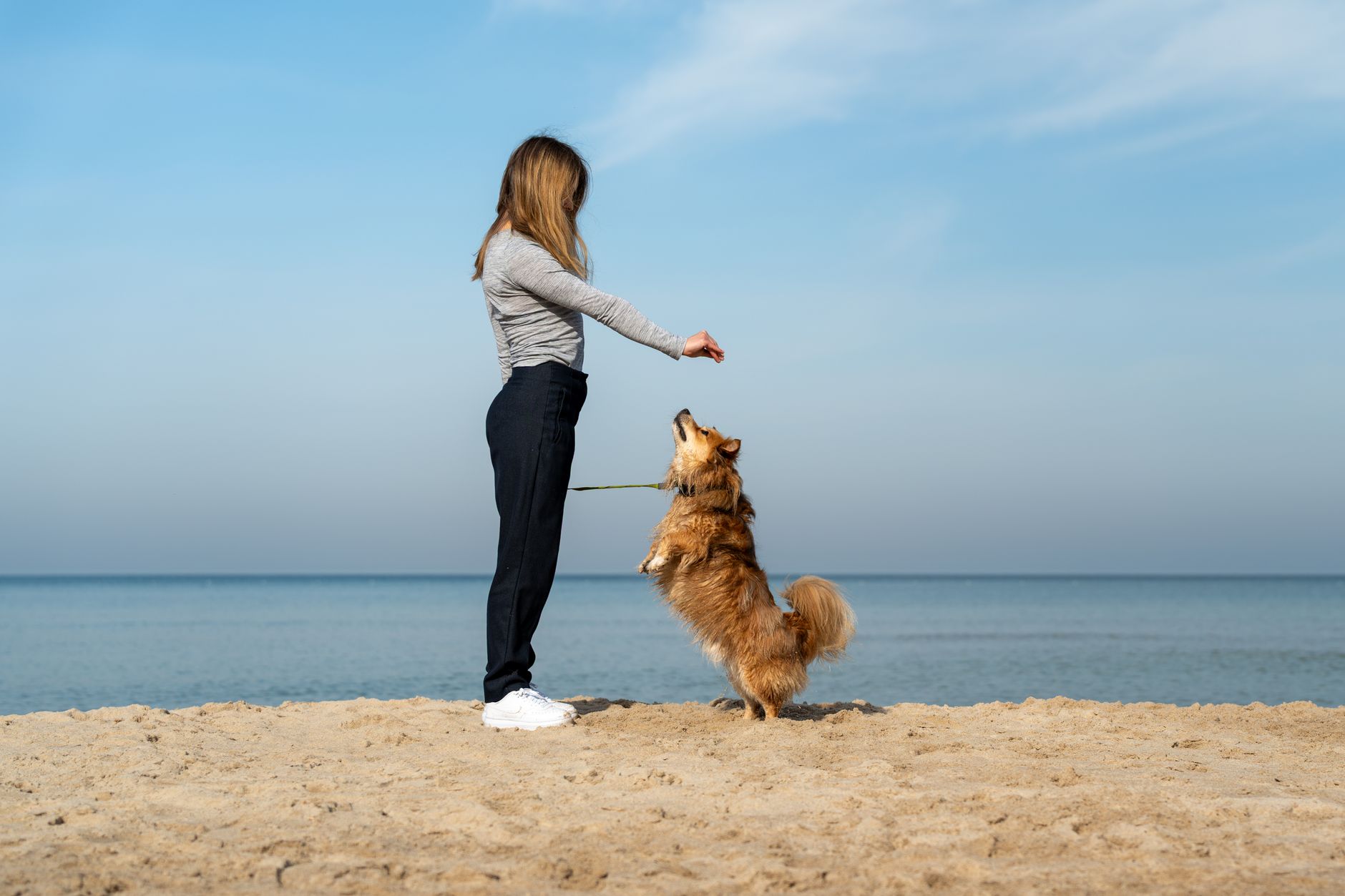 How to Keep Your Dog Mentally Engaged and Happily Active Every Day