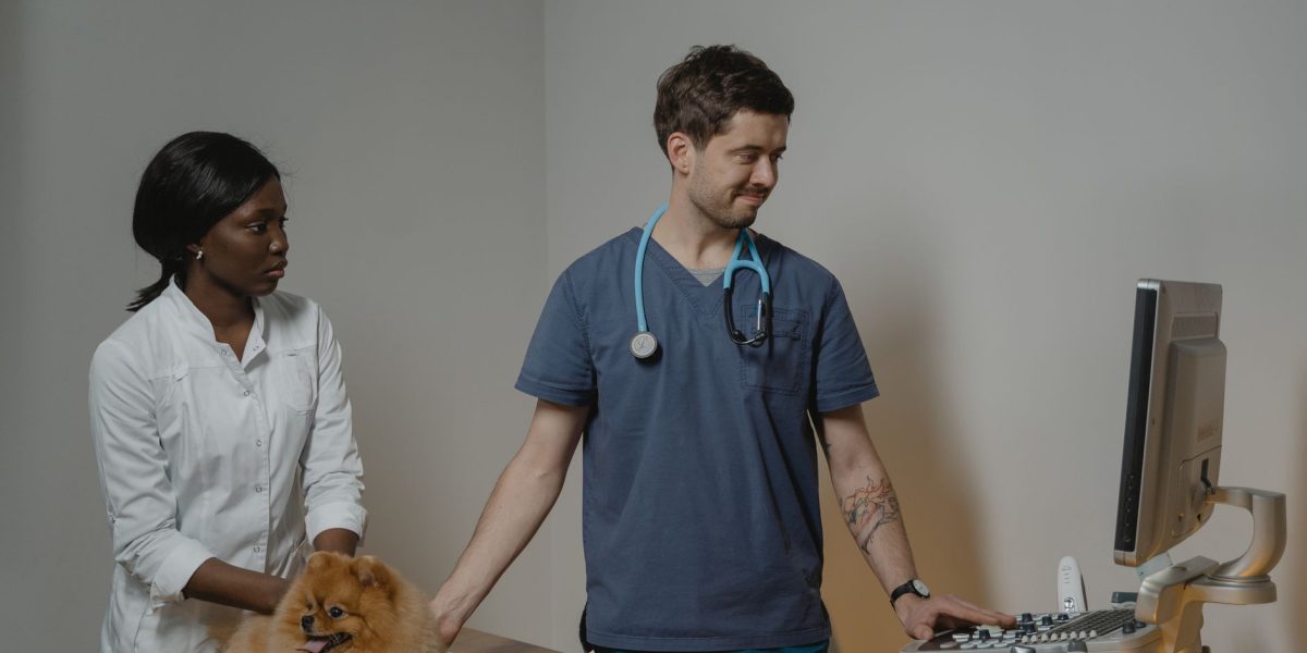 How to Check If a Dog Has a Microchip and What to Do Next