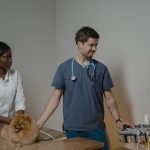 How to Check If a Dog Has a Microchip and What to Do Next