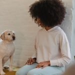 How to Recognize Separation Anxiety in Dogs: Signs, Causes, and What Owners Can Do 3 How to Recognize Separation Anxiety in Dogs: Signs, Causes, and What Owners Can Do