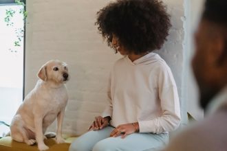 How to Recognize Separation Anxiety in Dogs: Signs, Causes, and What Owners Can Do 6 How to Recognize Separation Anxiety in Dogs: Signs, Causes, and What Owners Can Do