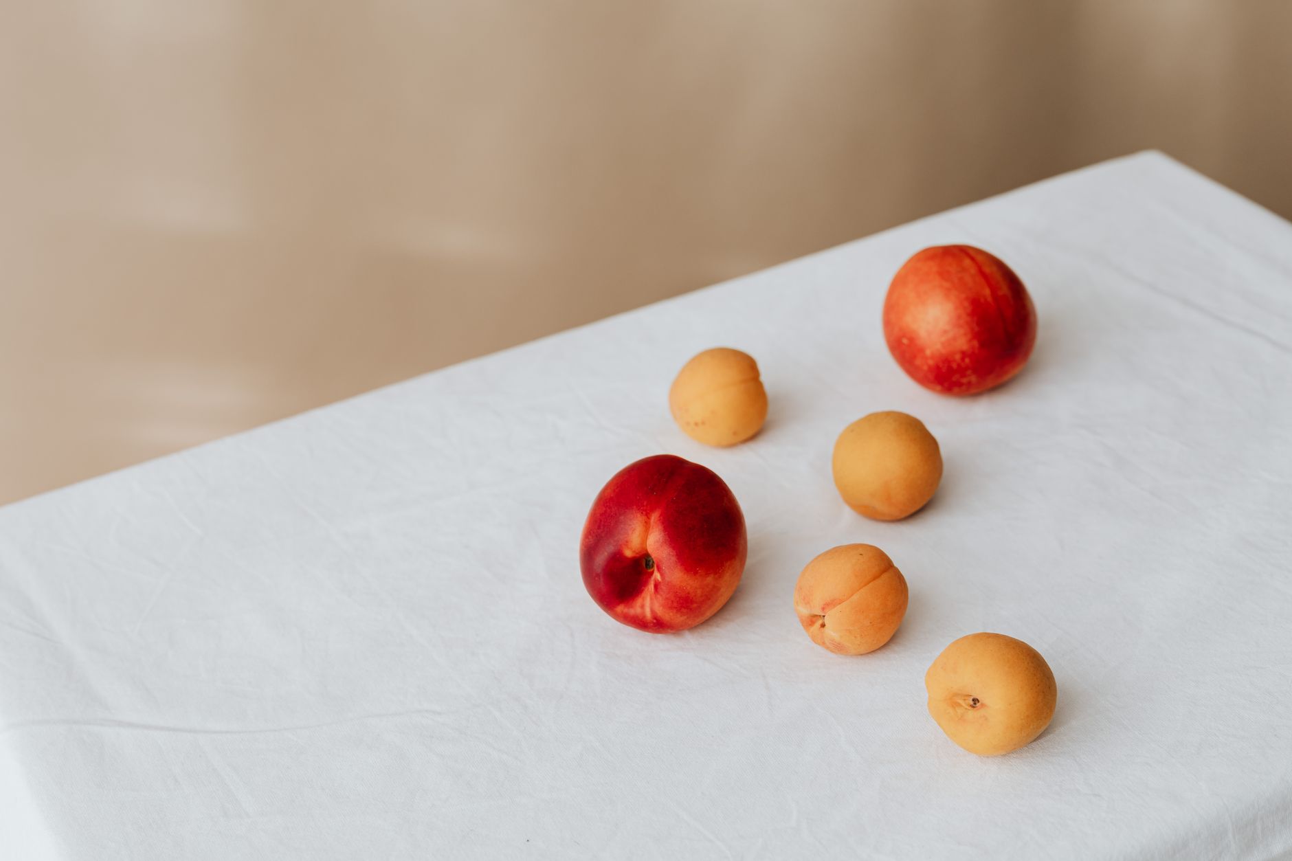 Can Dogs Eat White Peaches?