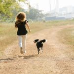 Finding the Dog That Fits Your Life: A Practical Guide to Choosing the Right Companion 2 Finding the Dog That Fits Your Life: A Practical Guide to Choosing the Right Companion