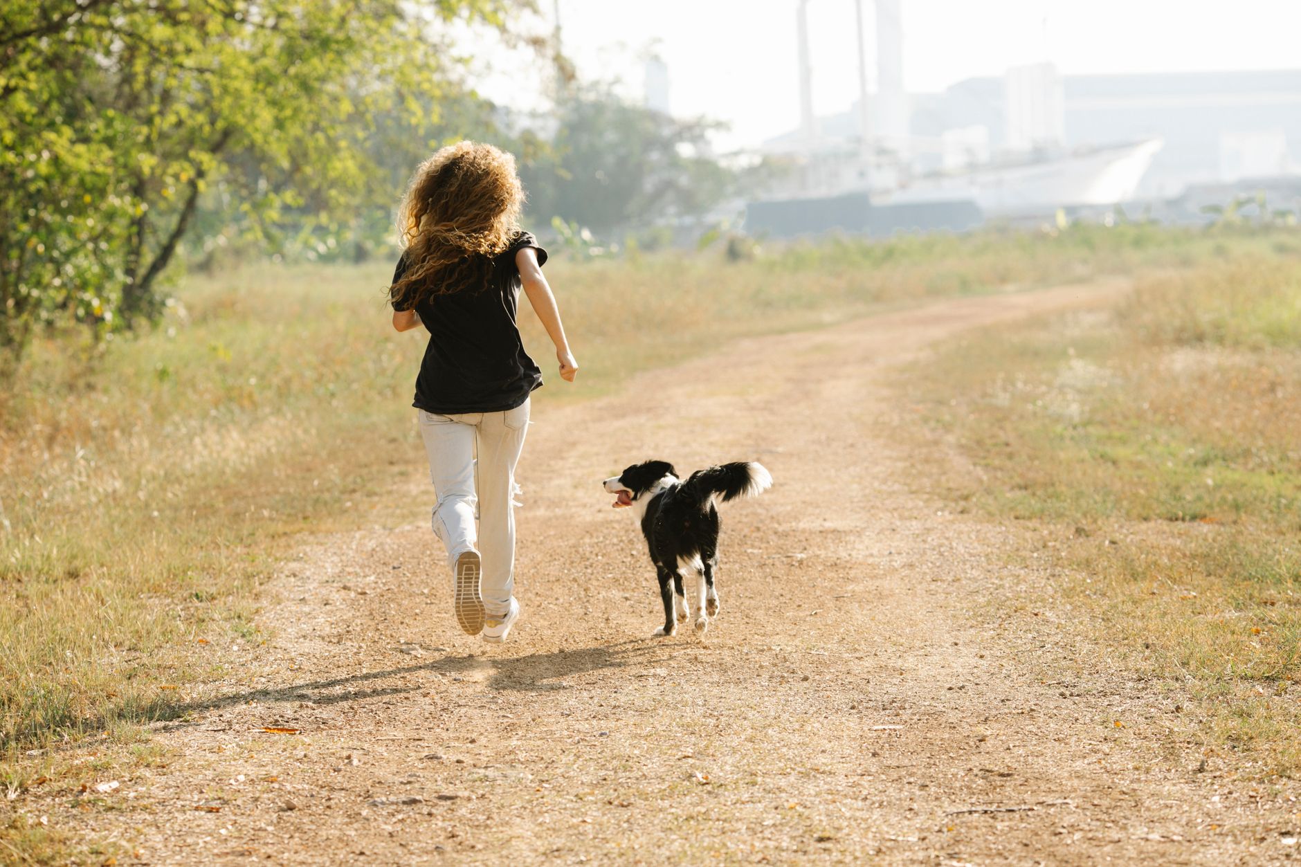 Finding the Dog That Fits Your Life: A Practical Guide to Choosing the Right Companion